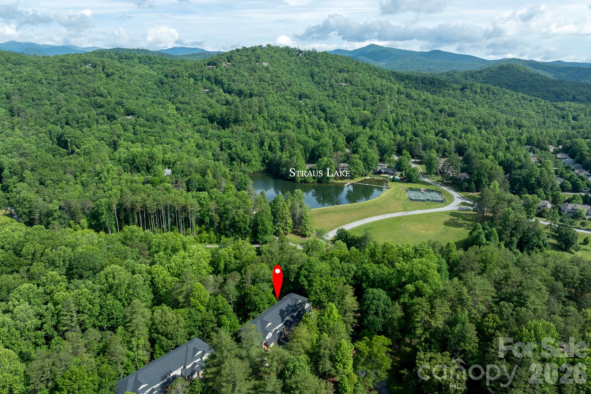 99 Ridgetop Circle, Unit 202 Brevard, NC 28712 - Photo 42 of 48