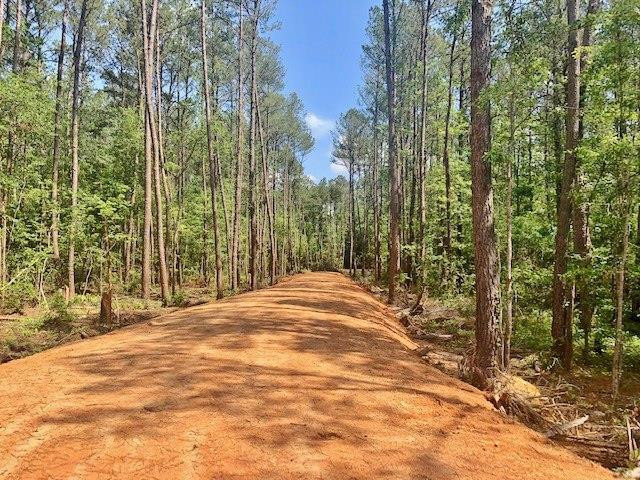 0 Ebenezer Church Road Bassfield, MS 39421 - Photo 3 of 38 Photo 3