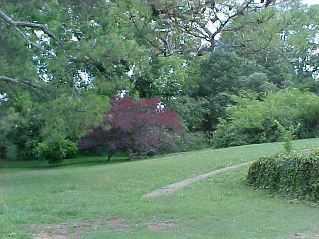 4413 Shawhan Road Chattanooga, TN 37411 - Photo 3 of 7 Additional Photo