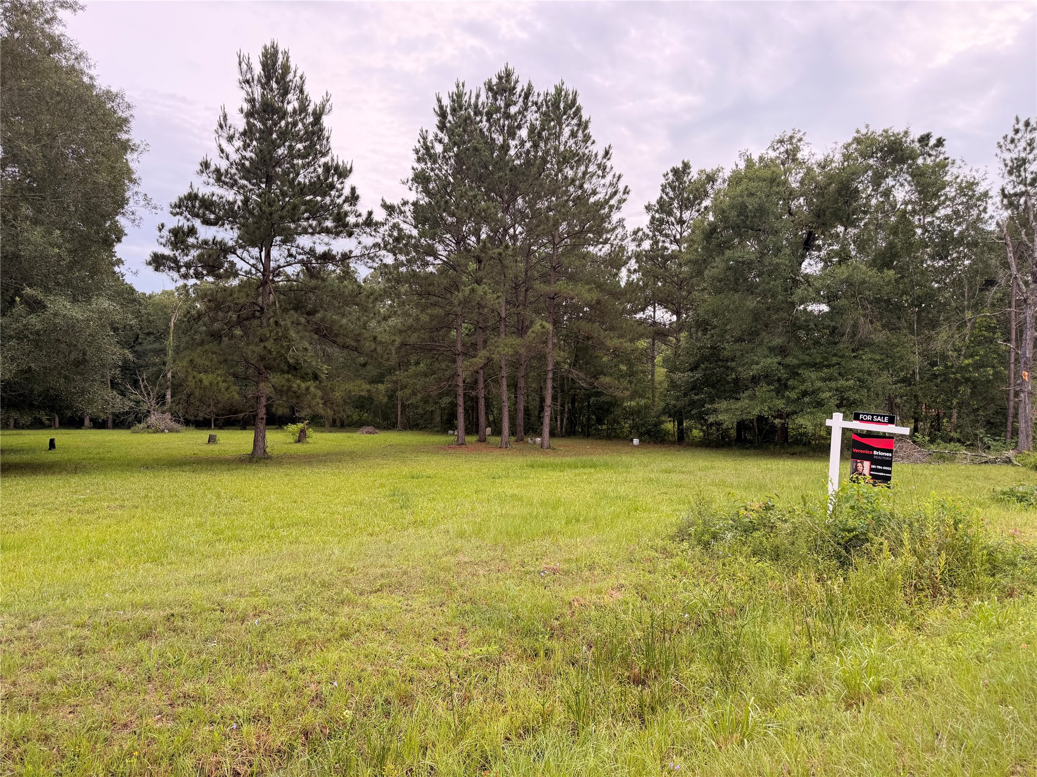 0 Forest Trail Conroe, TX 77306 - Photo 7 of 7 a backyard of a house with lots of green space