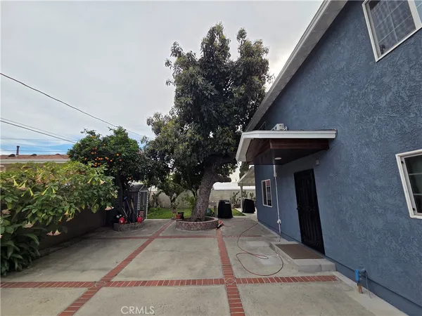 a view of a house with a tree and plants