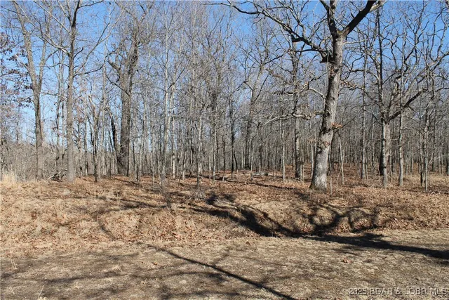 $8,775 | Dunn Drive, Unit 1342, Edwards, MO 65326