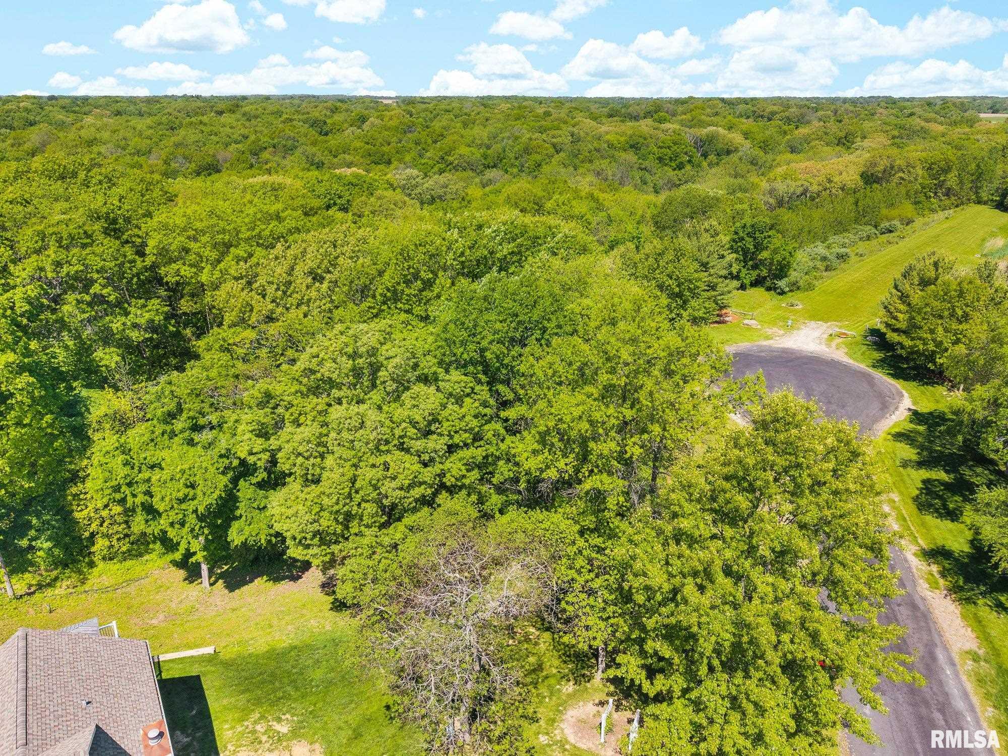 South Walnut Point Drive Mapleton, IL 61547 - Photo 13 of 48