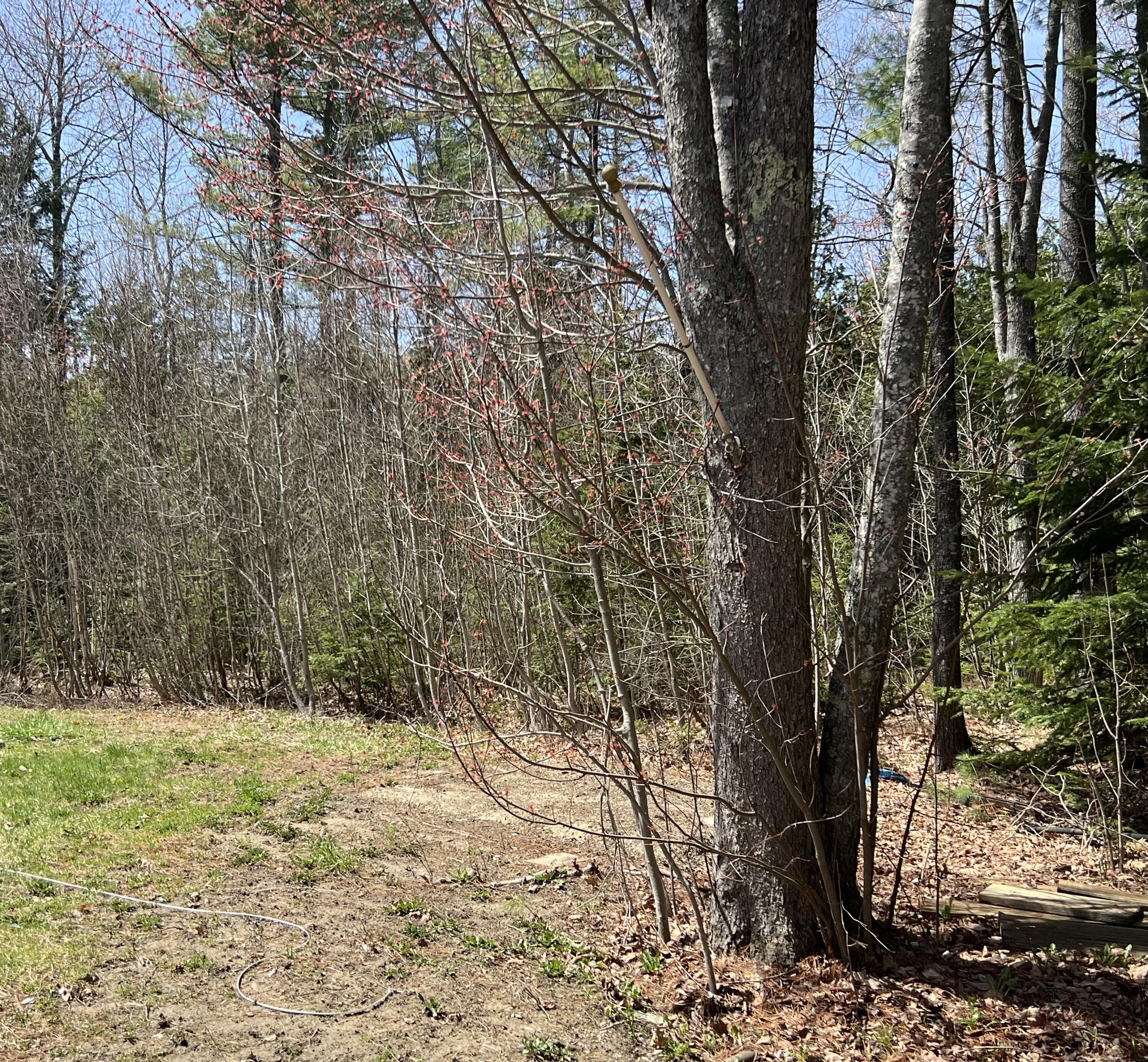 65 Davis Road Bangor, ME 04401 - Photo 4 of 30 4