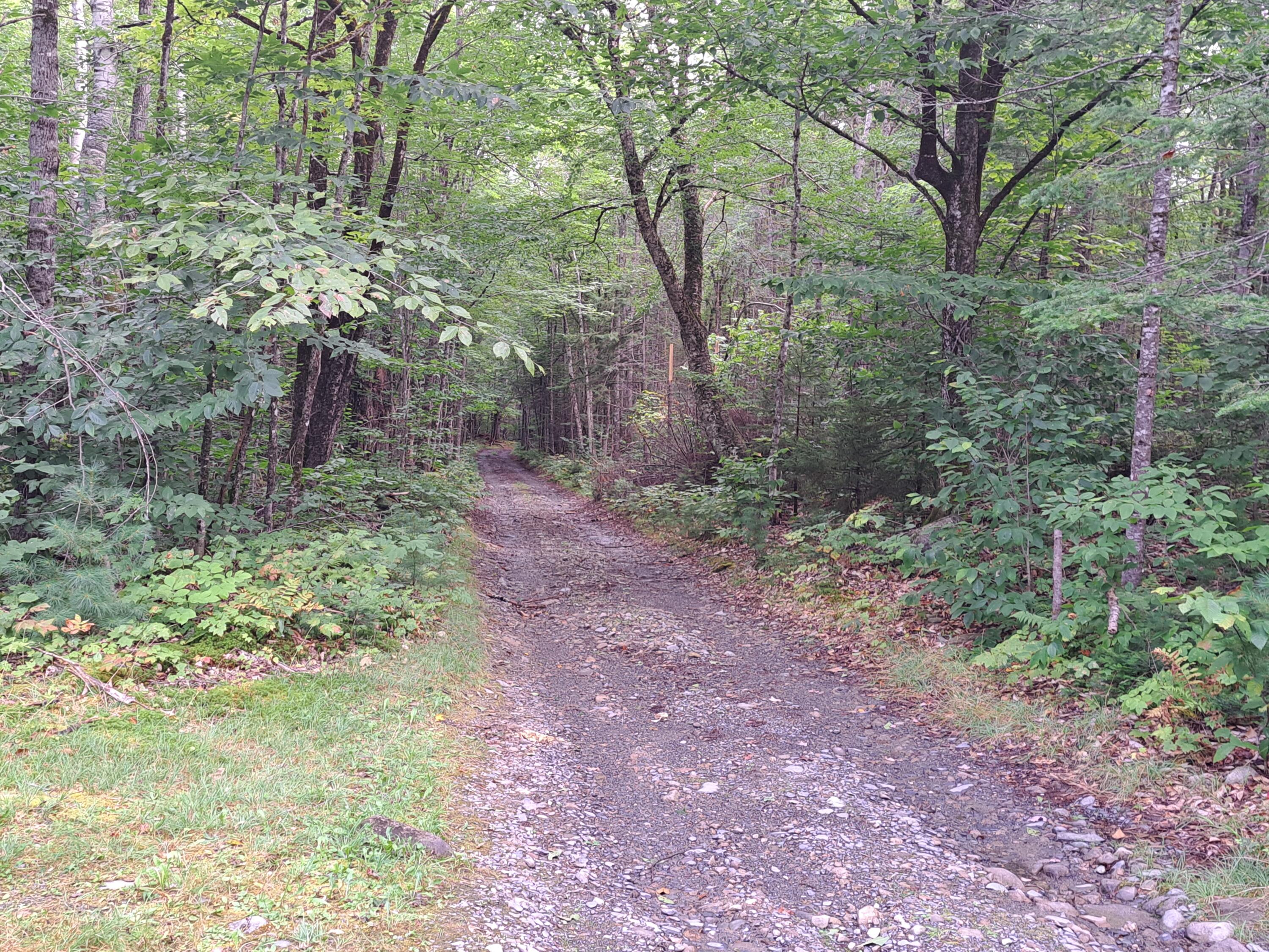 74 Packard Road Monson, ME 04464 - Photo 12 of 14 1000006761