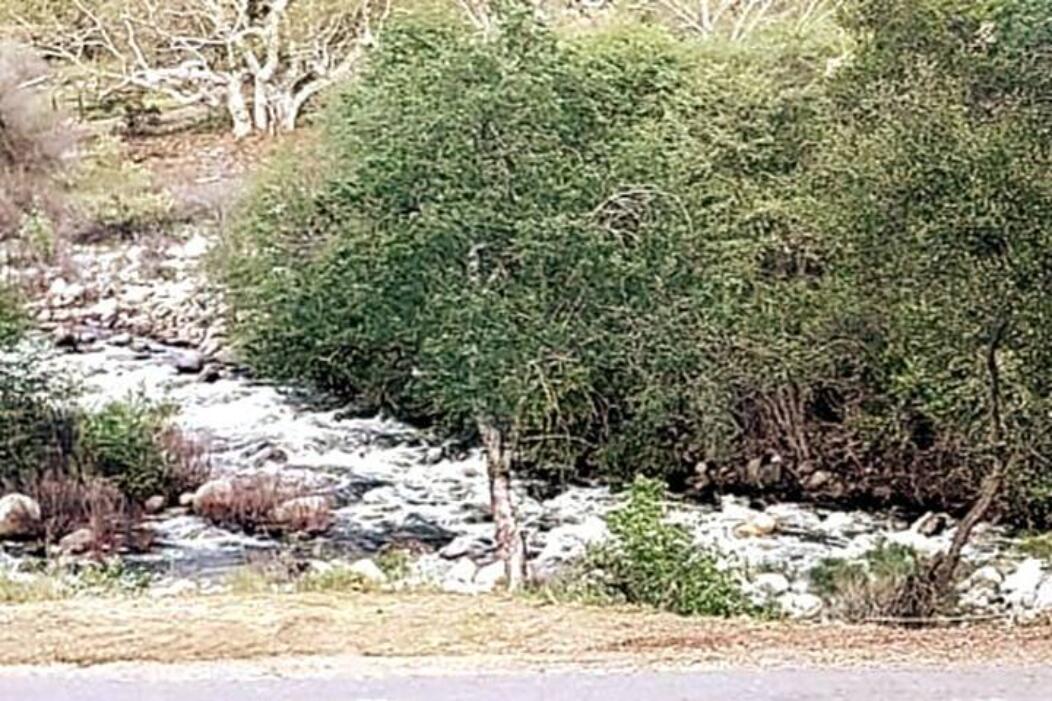 44561 Dinely Drive Three Rivers, CA 93271 - Photo 43 of 47 view of river