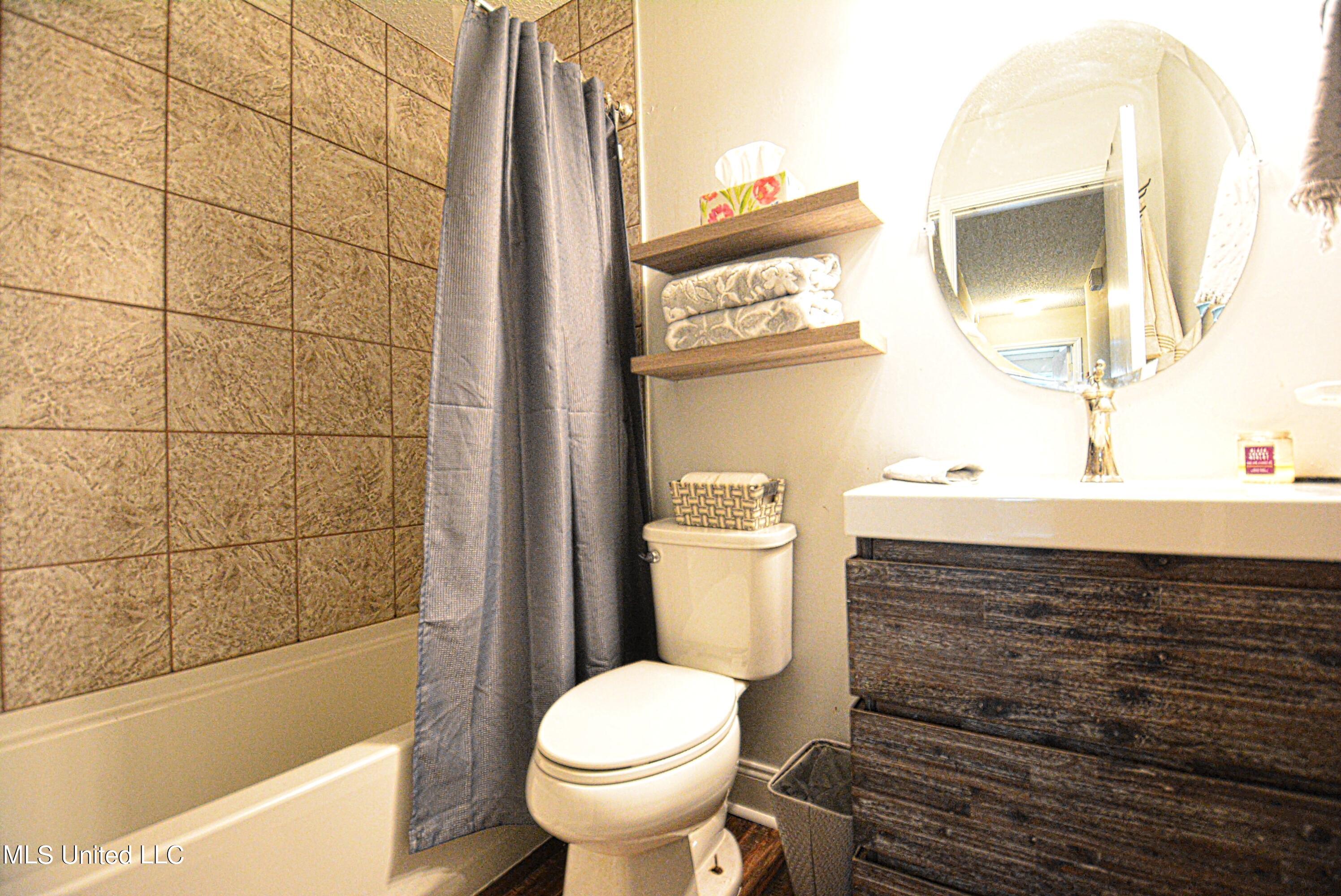 8421 Old Forge Road Southaven, MS 38671 - Photo 15 of 19 Hall Bathroom