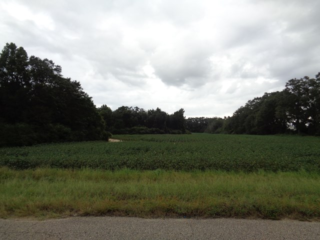 6.2-ac D Hodge Road Cottonwood, AL 36320 - Photo 1 of 1