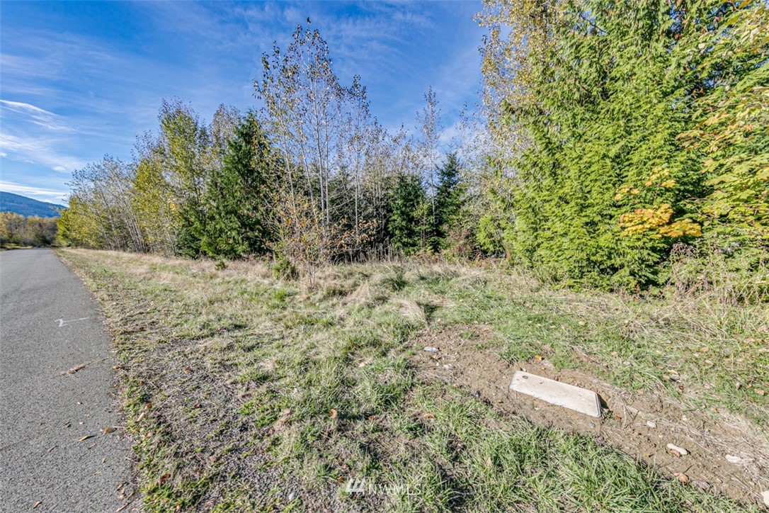 9999 Grand Ridge Port Angeles, WA 98362 - Photo 11 of 39 Gallery Image 11