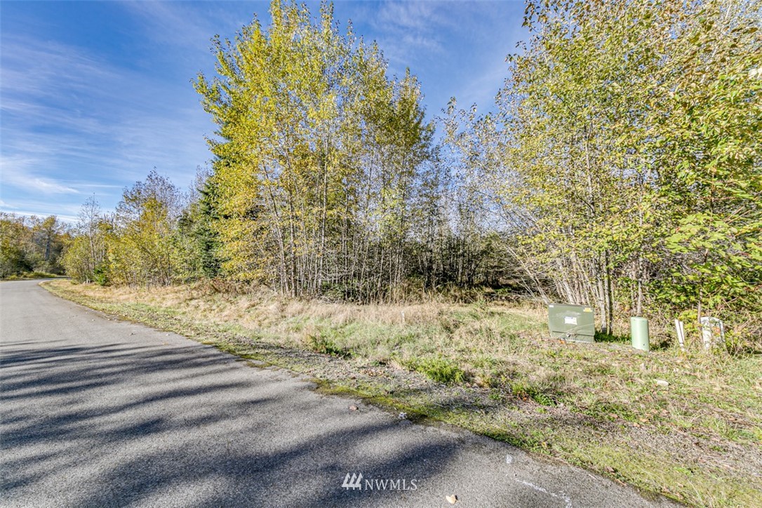 9999 Grand Ridge Port Angeles, WA 98362 - Photo 13 of 39 Gallery Image 13