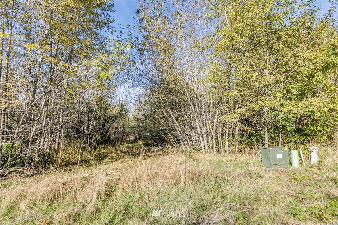 9999 Grand Ridge Port Angeles, WA 98362 - Photo 14 of 39 Gallery Image 14