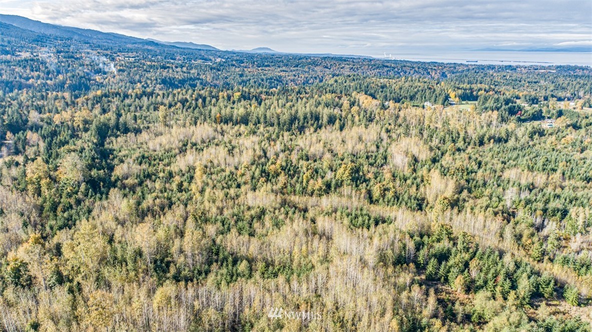 9999 Grand Ridge Port Angeles, WA 98362 - Photo 31 of 39 Gallery Image 31