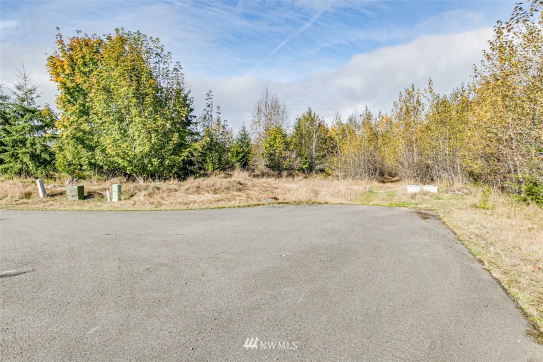 9999 Grand Ridge Port Angeles, WA 98362 - Photo 6 of 39 Gallery Image 6
