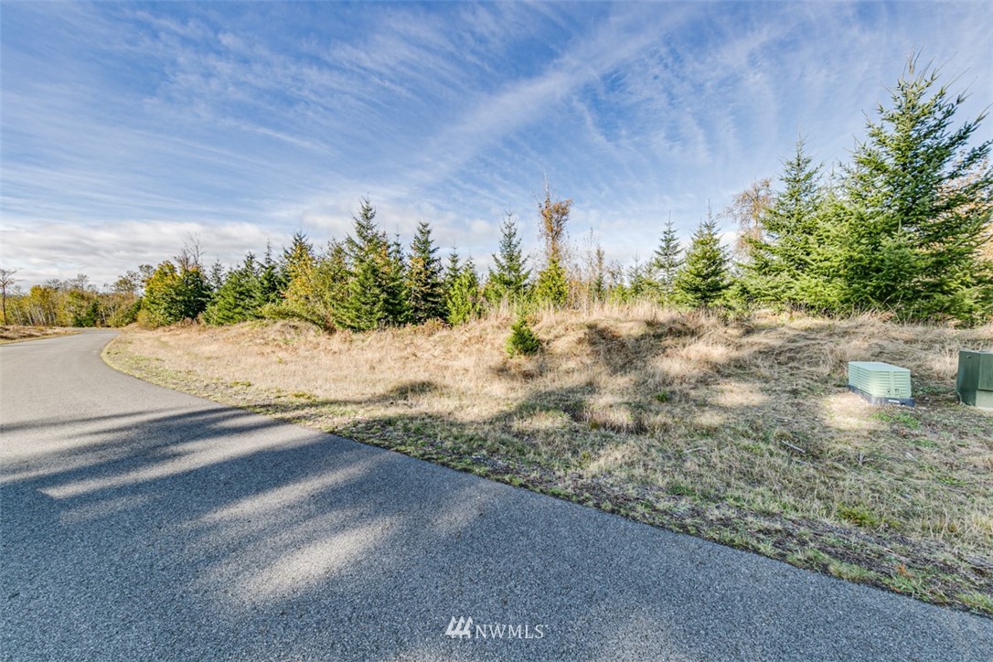 9999 Grand Ridge Port Angeles, WA 98362 - Photo 10 of 39 Gallery Image 10