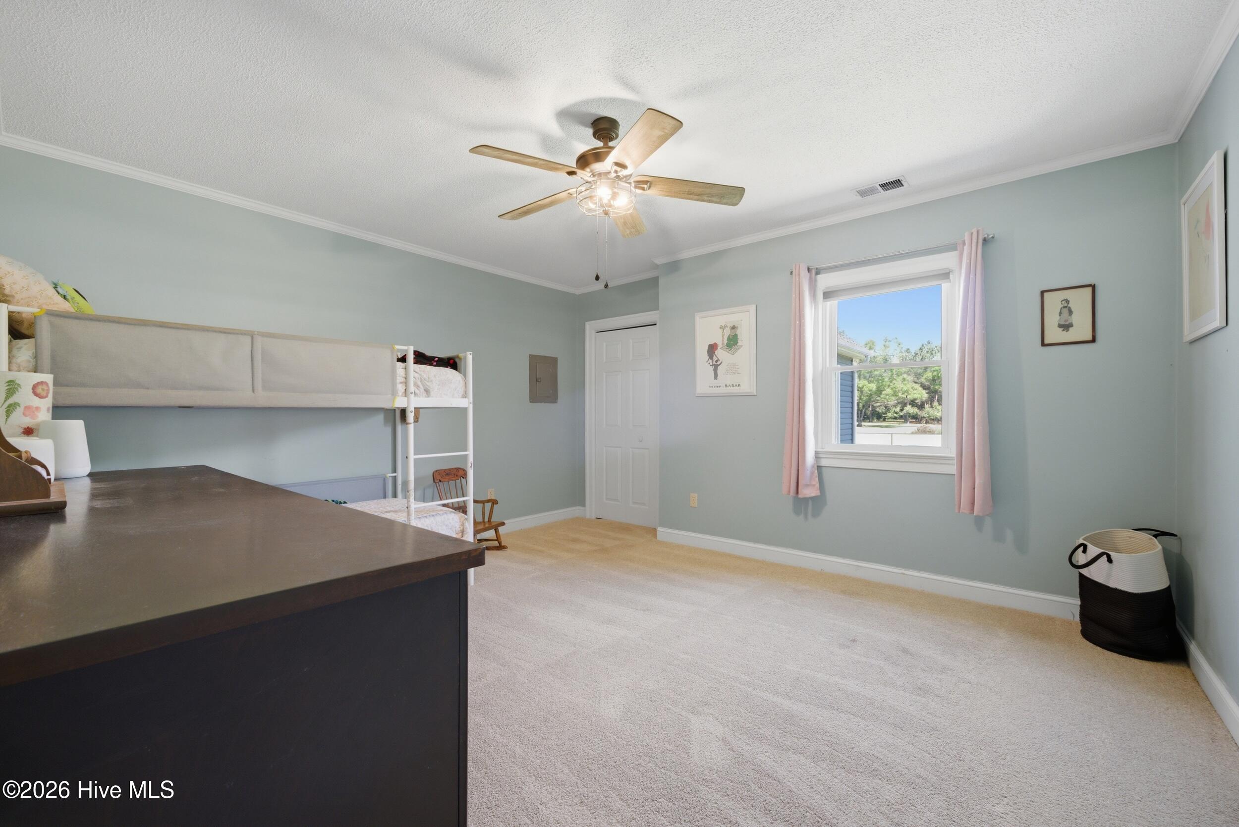 136 Culpepper Road South Mills, NC 27976 - Photo 24 of 78 27_dsc01474