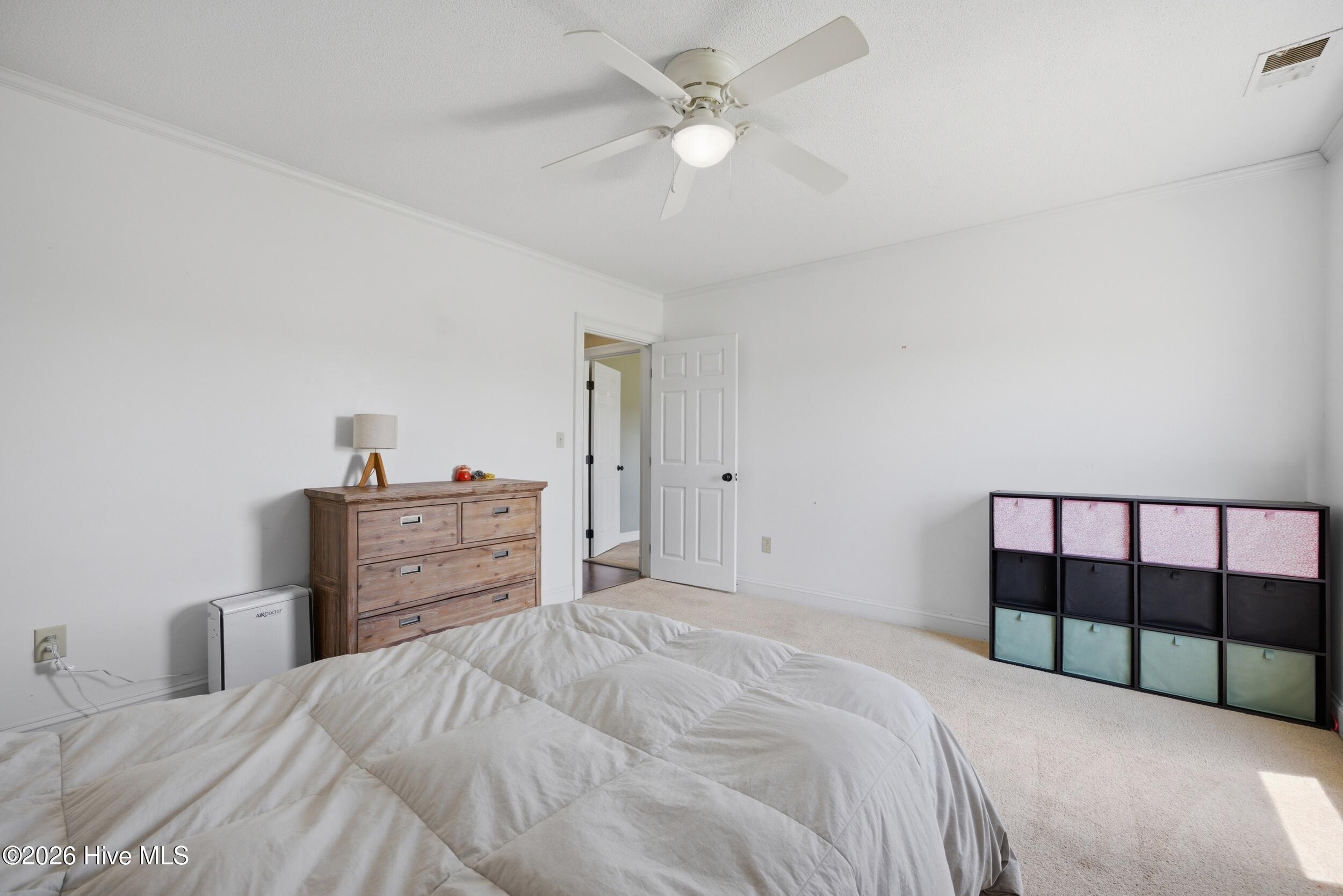 136 Culpepper Road South Mills, NC 27976 - Photo 28 of 78 31_dsc01486
