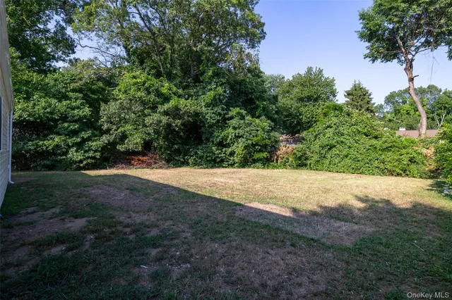 a view of a yard with a tree