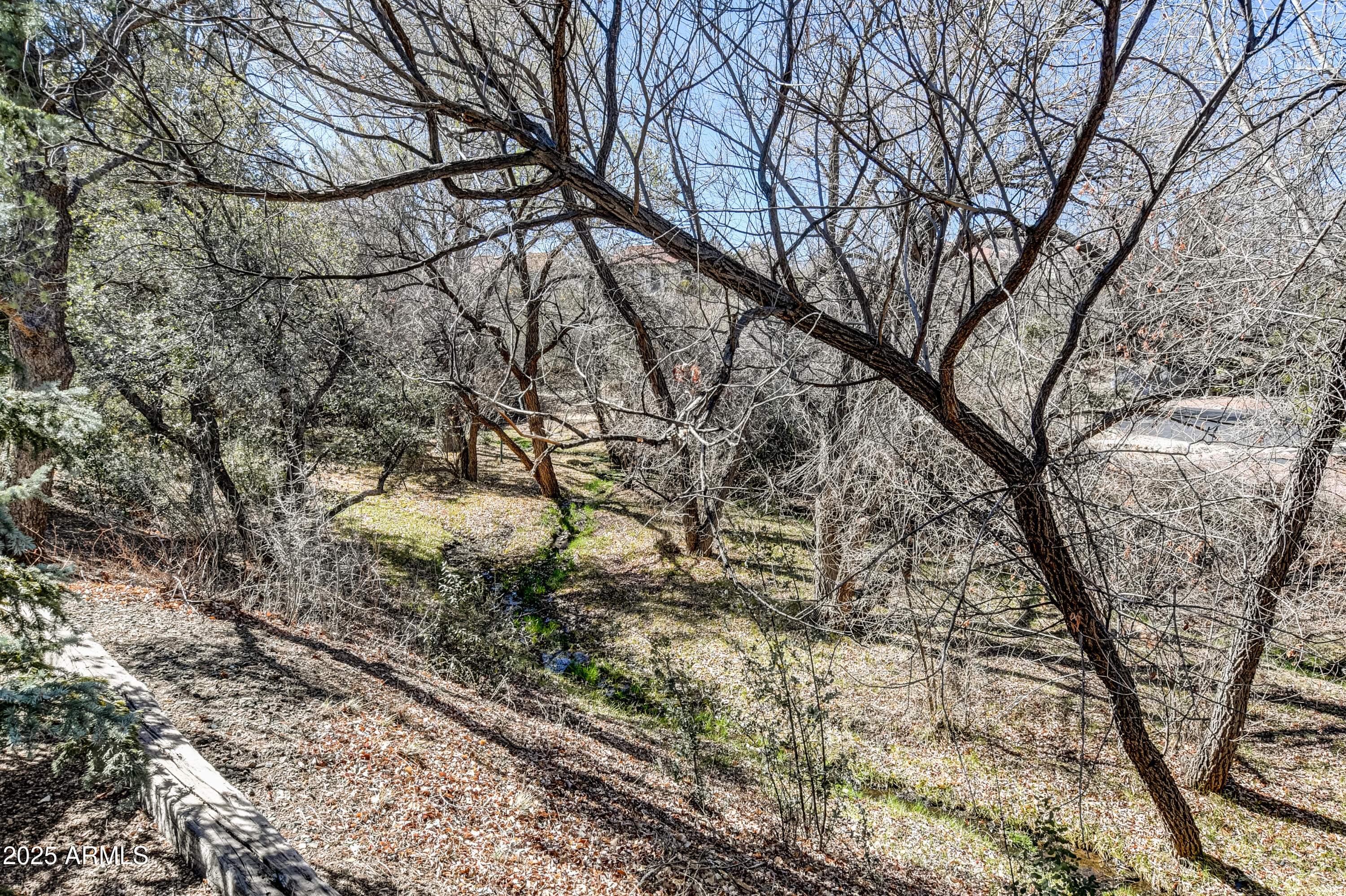 419 Apache Plume Trail Prescott, AZ 86301 - Photo 21 of 21 a view of a forest filled with trees