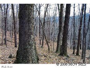 0 C Road West Union, WV 26456 - Photo 1 of 1 Gallery Image 1