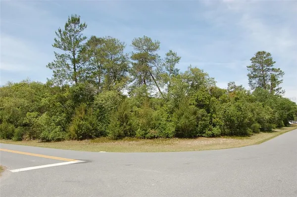 a view of a yard with a plant