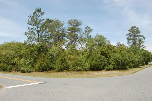 a view of a yard with a plant
