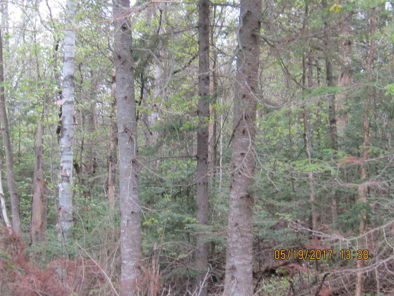 Pierre Road West Stewartstown, NH 03597 - Photo 1 of 4