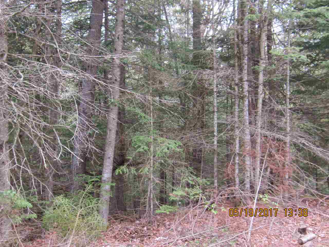 Pierre Road West Stewartstown, NH 03597 - Photo 2 of 4