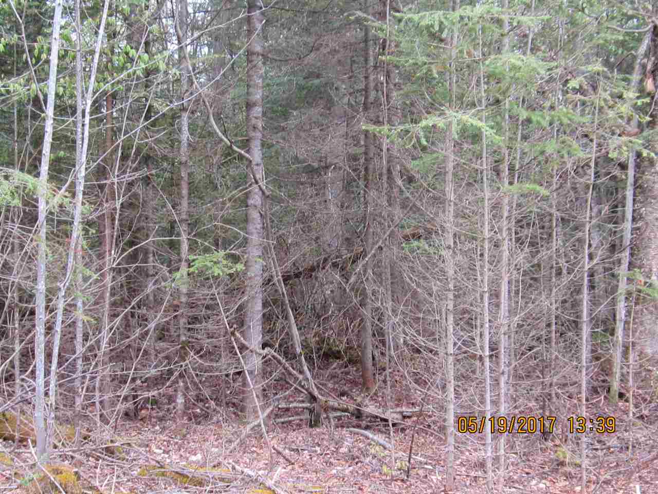 Pierre Road West Stewartstown, NH 03597 - Photo 3 of 4