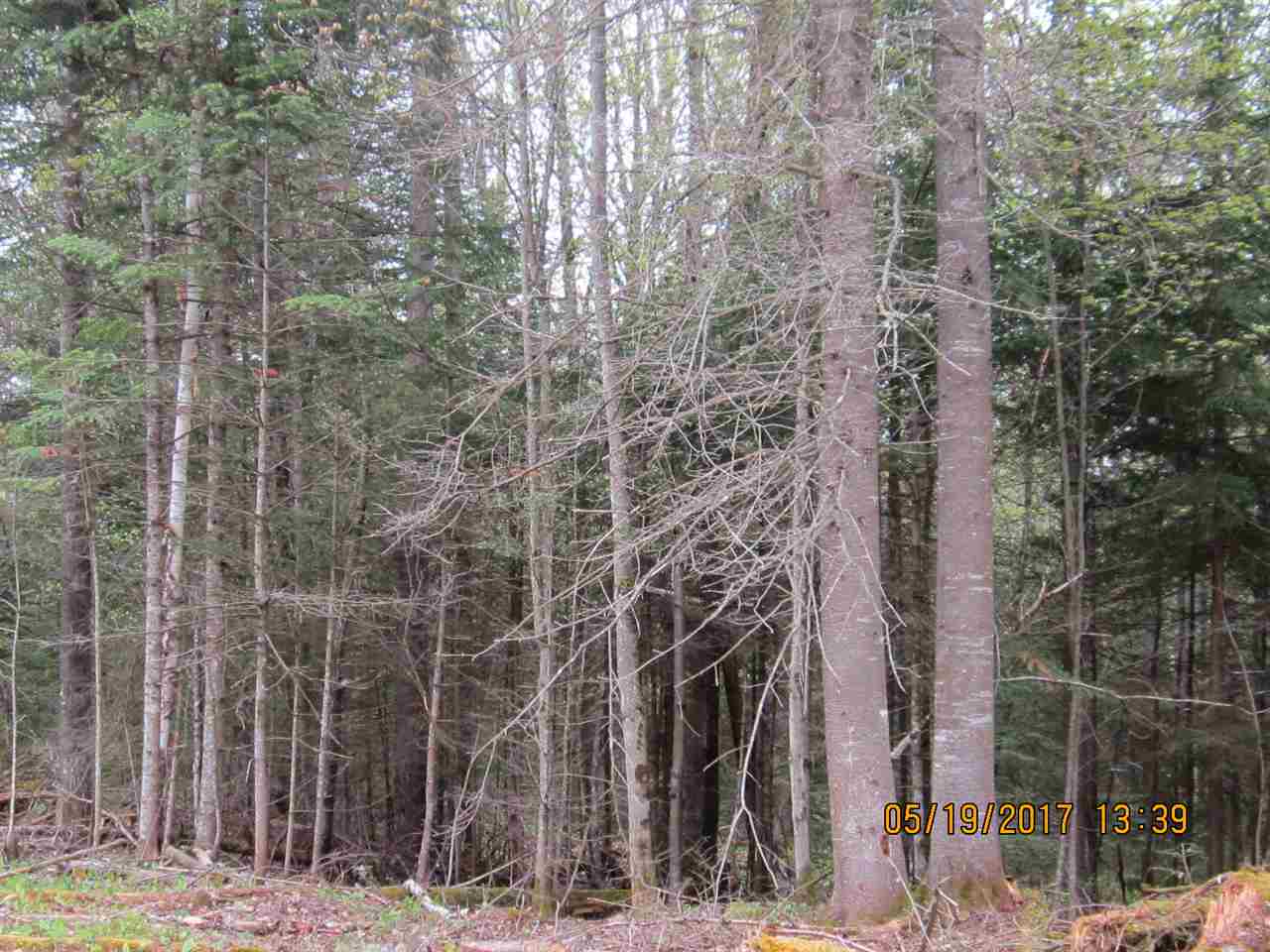 Pierre Road West Stewartstown, NH 03597 - Photo 4 of 4