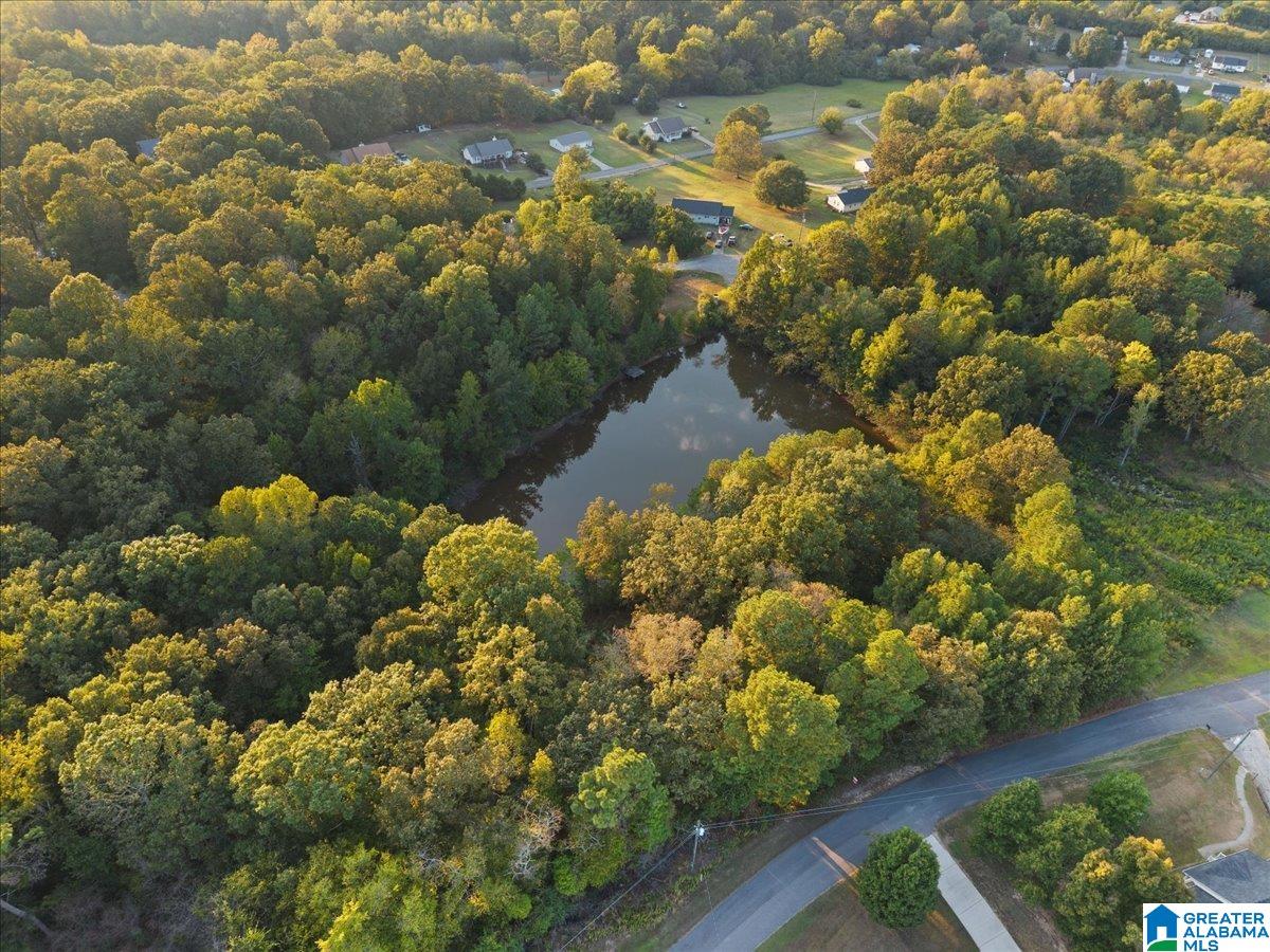 0 Shady Point Road, Unit 18 18 & 19 Locust Fork, AL 35097 - Photo 9 of 26
