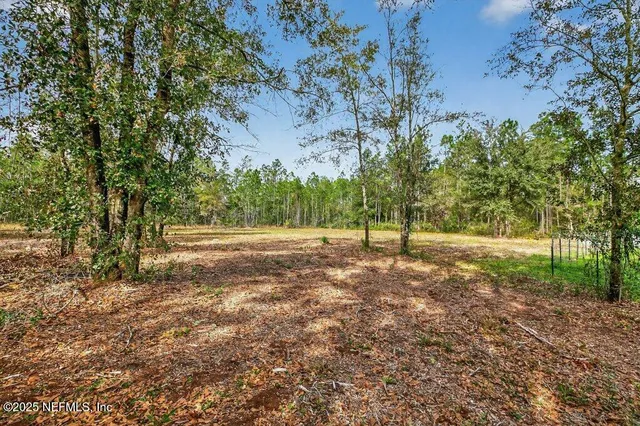 a view of backyard with green space