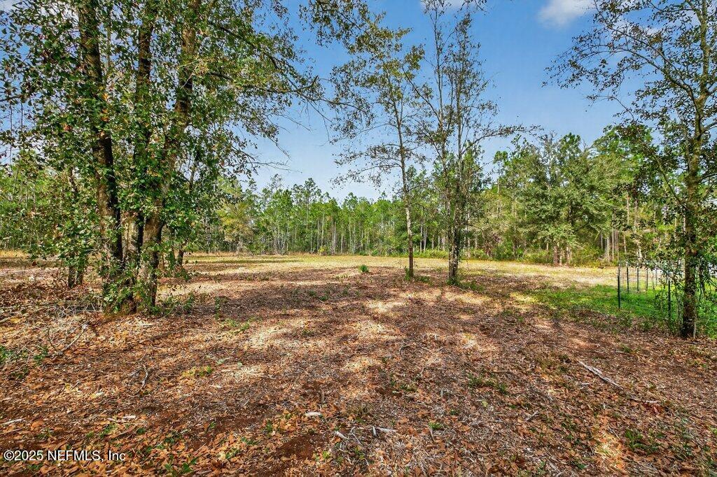 10545 Baylor Avenue Hastings, FL 32145 - Photo 14 of 17 a view of backyard with green space