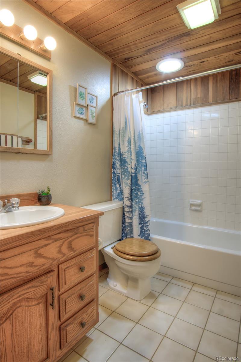 253 Raven Drive Bailey, CO 80421 - Photo 17 of 40 a bathroom with a sink a toilet and a bathtub