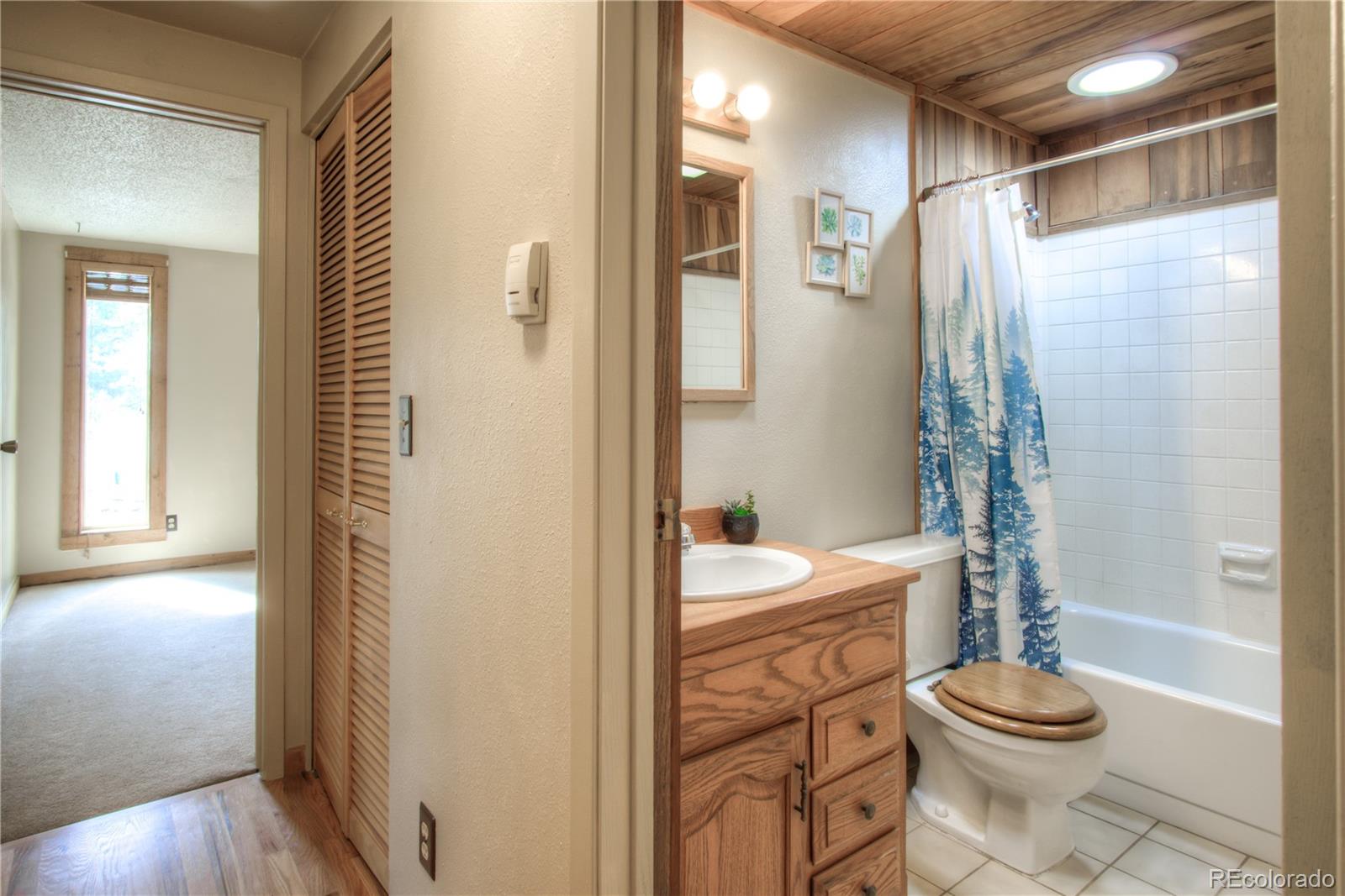 253 Raven Drive Bailey, CO 80421 - Photo 18 of 40 a bathroom with a sink toilet and shower