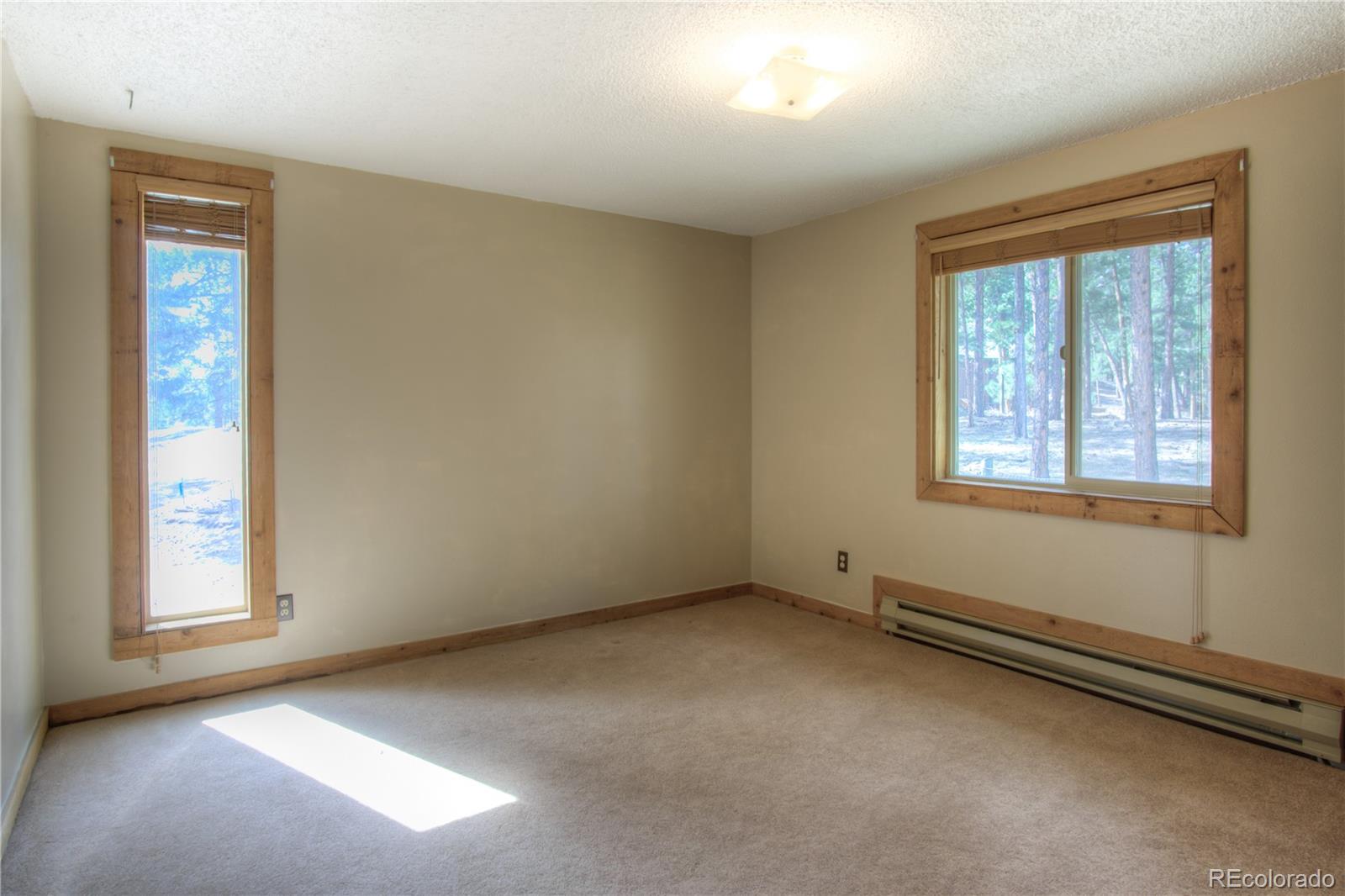 253 Raven Drive Bailey, CO 80421 - Photo 19 of 40 an empty room with windows