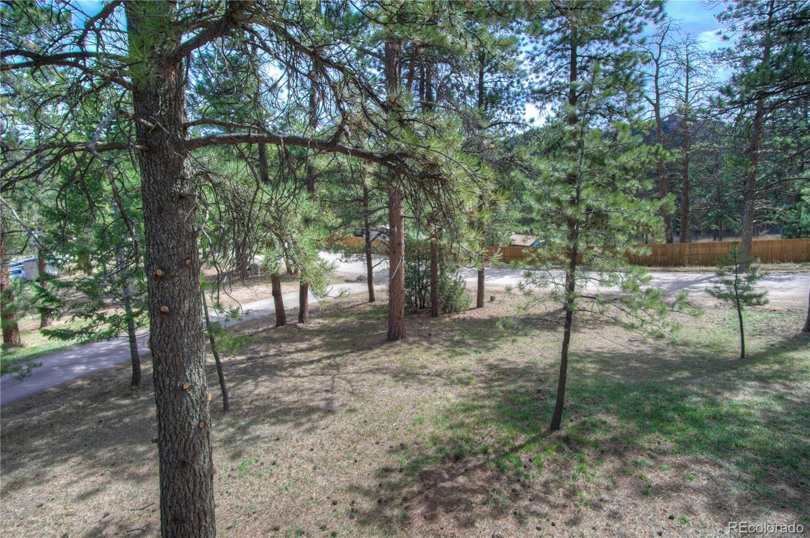 253 Raven Drive Bailey, CO 80421 - Photo 35 of 40 a backyard of a house with lots of trees