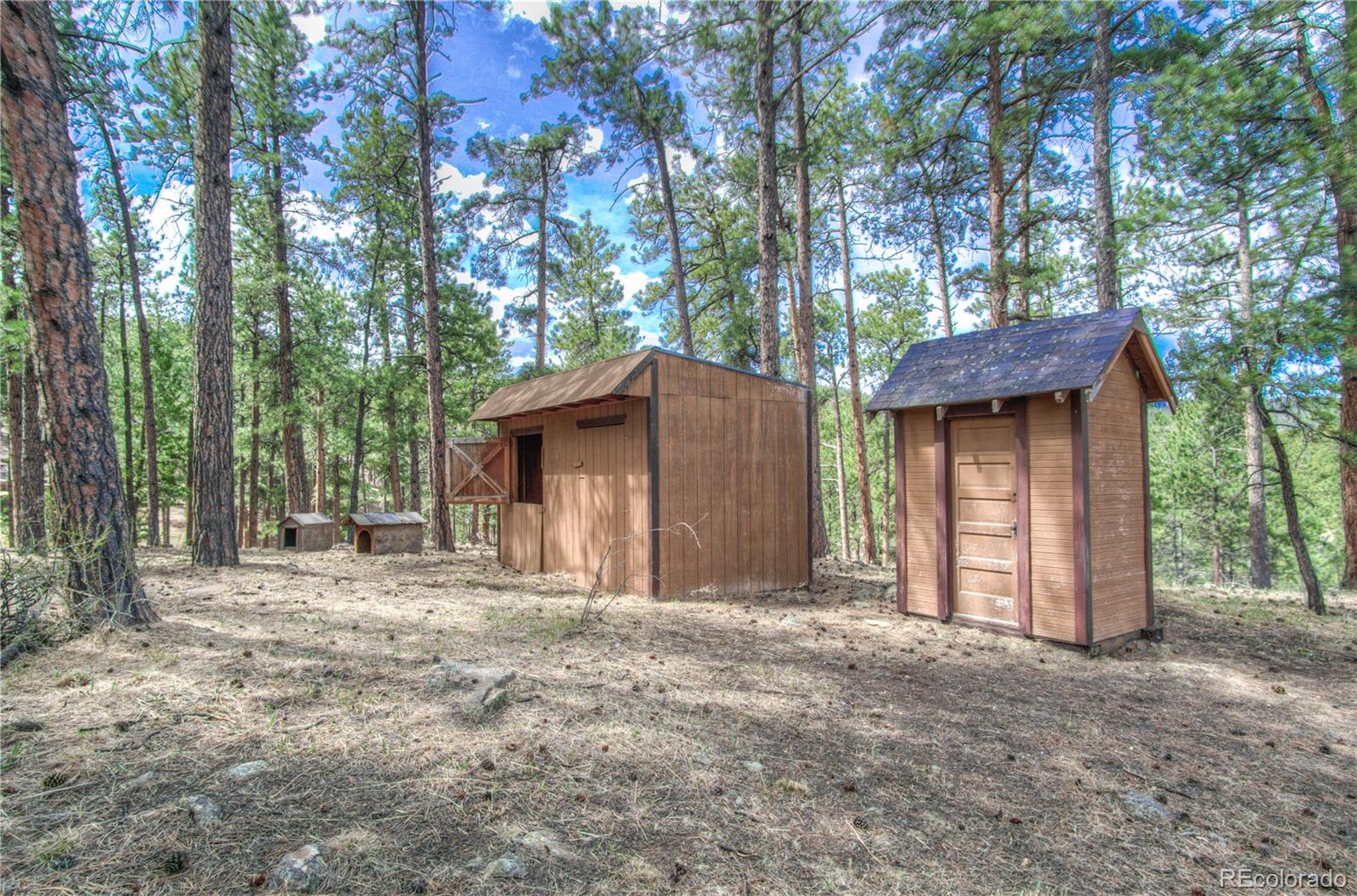 253 Raven Drive Bailey, CO 80421 - Photo 36 of 40 a view of a house with large tree and wooden fence