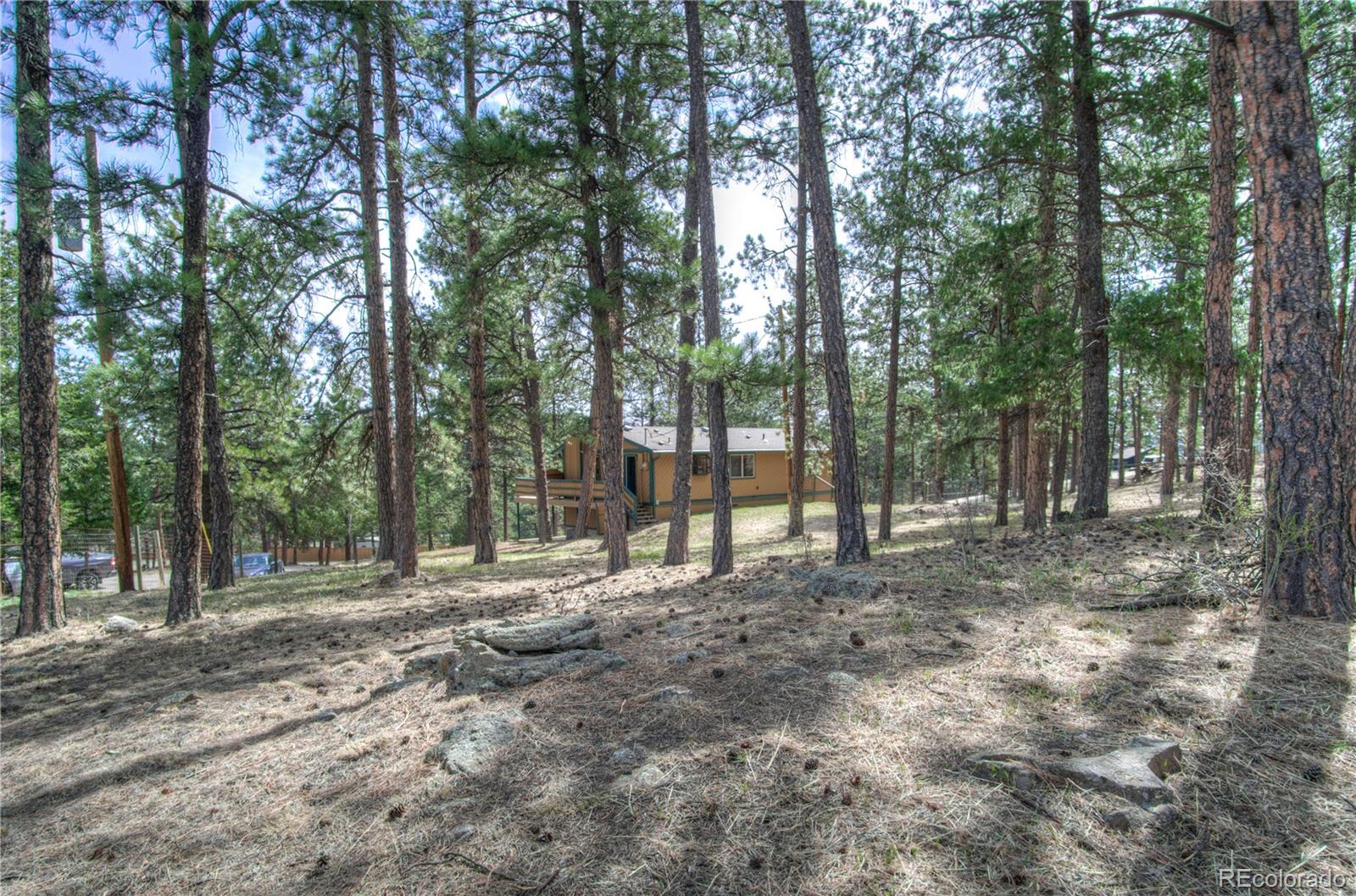 253 Raven Drive Bailey, CO 80421 - Photo 38 of 40 a view of outdoor space with trees