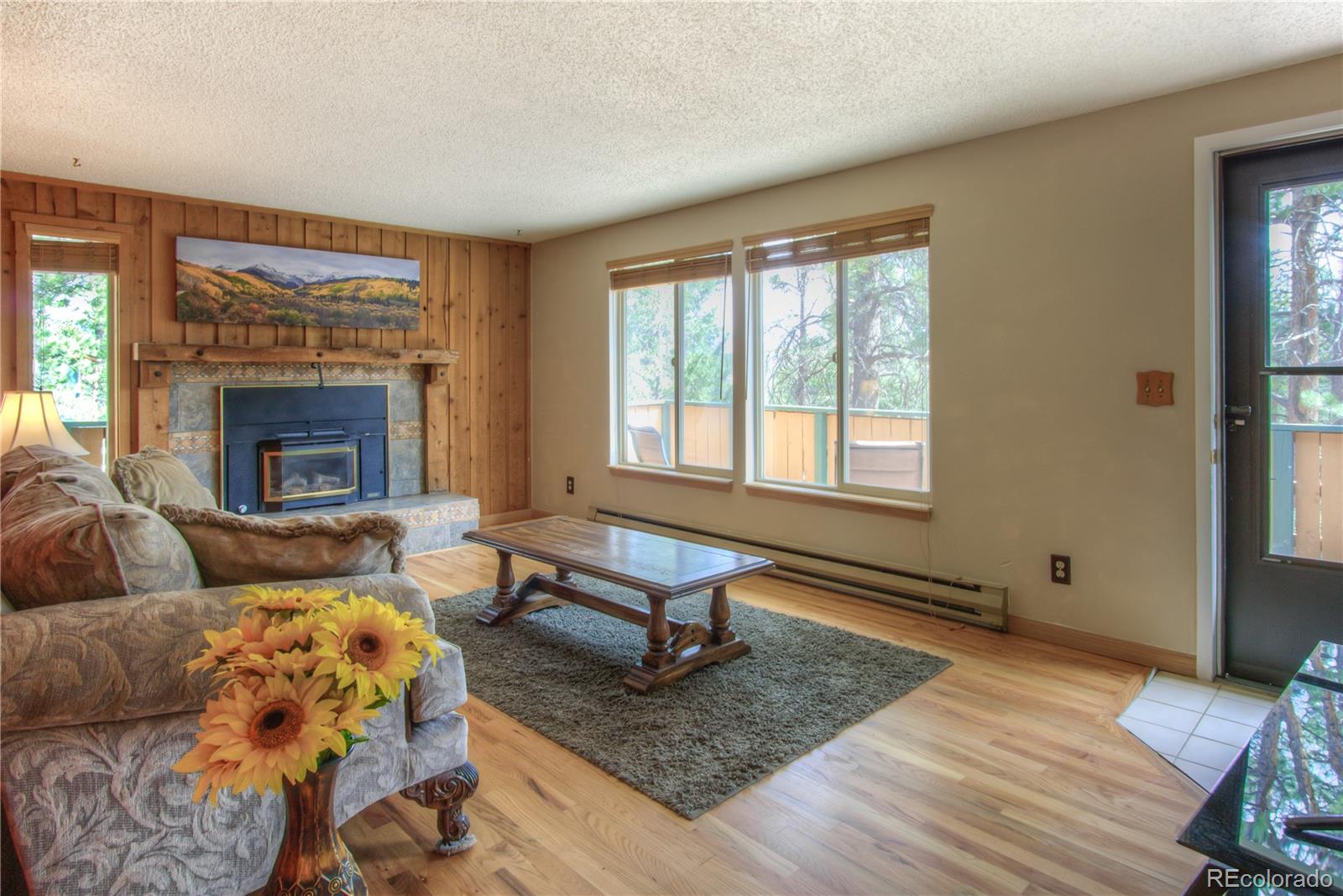 253 Raven Drive Bailey, CO 80421 - Photo 5 of 40 a living room with furniture and a fireplace