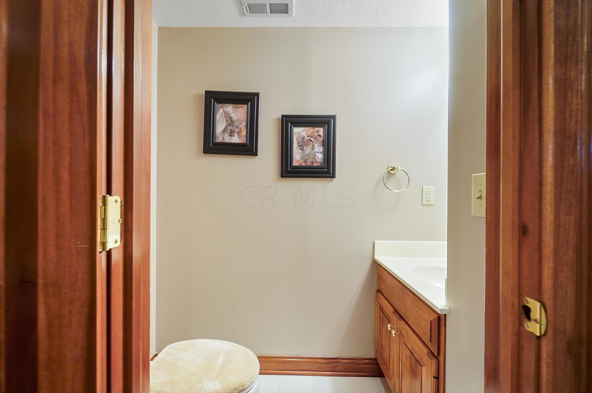 8434 Daventry Court Powell, OH 43065 - Photo 61 of 73 088