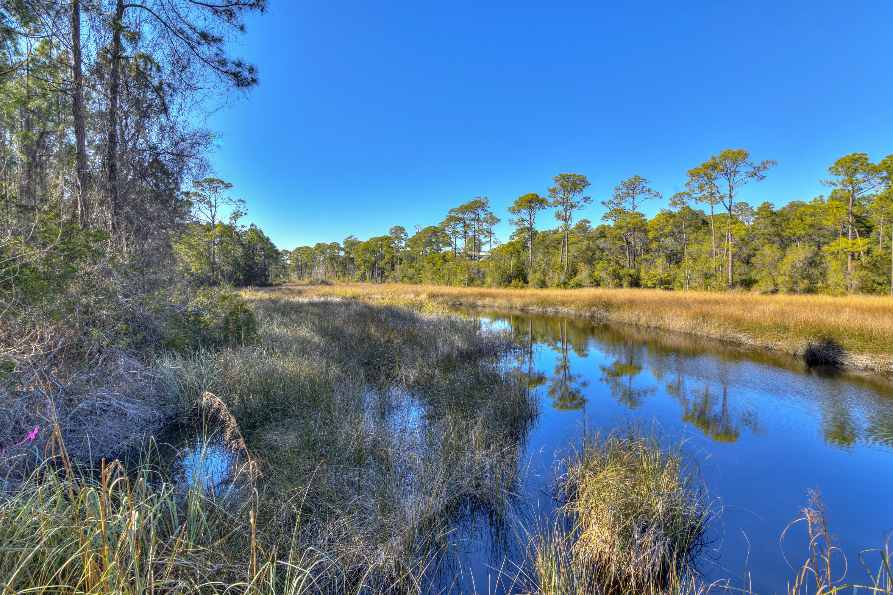 32 West Willow Mist Rd Inlet Beach Inlet Beach, FL 32461 - Photo 22 of 55 a view of a lake