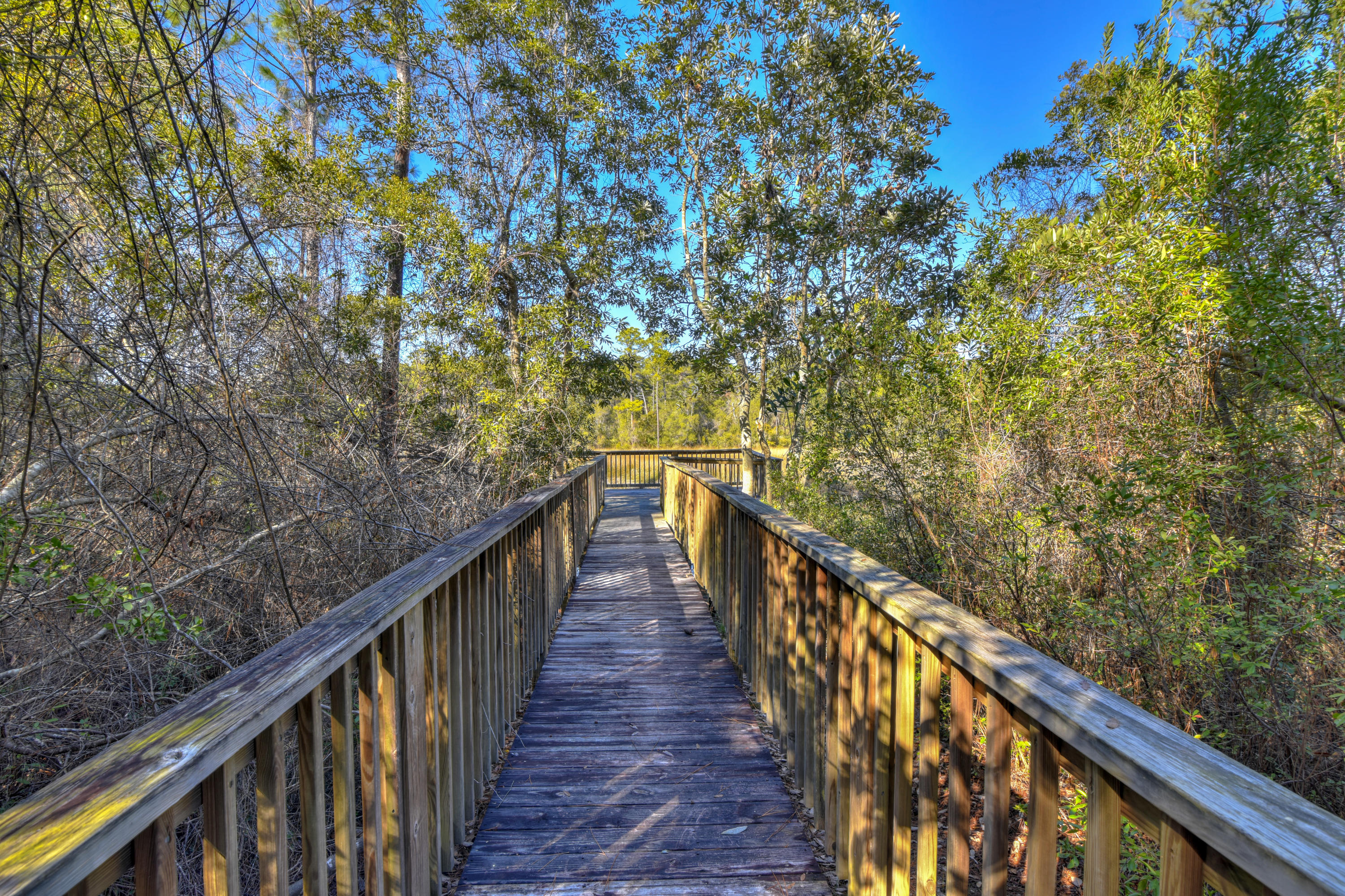 32 West Willow Mist Rd Inlet Beach Inlet Beach, FL 32461 - Photo 26 of 55 a view of a balcony with wooden stairs