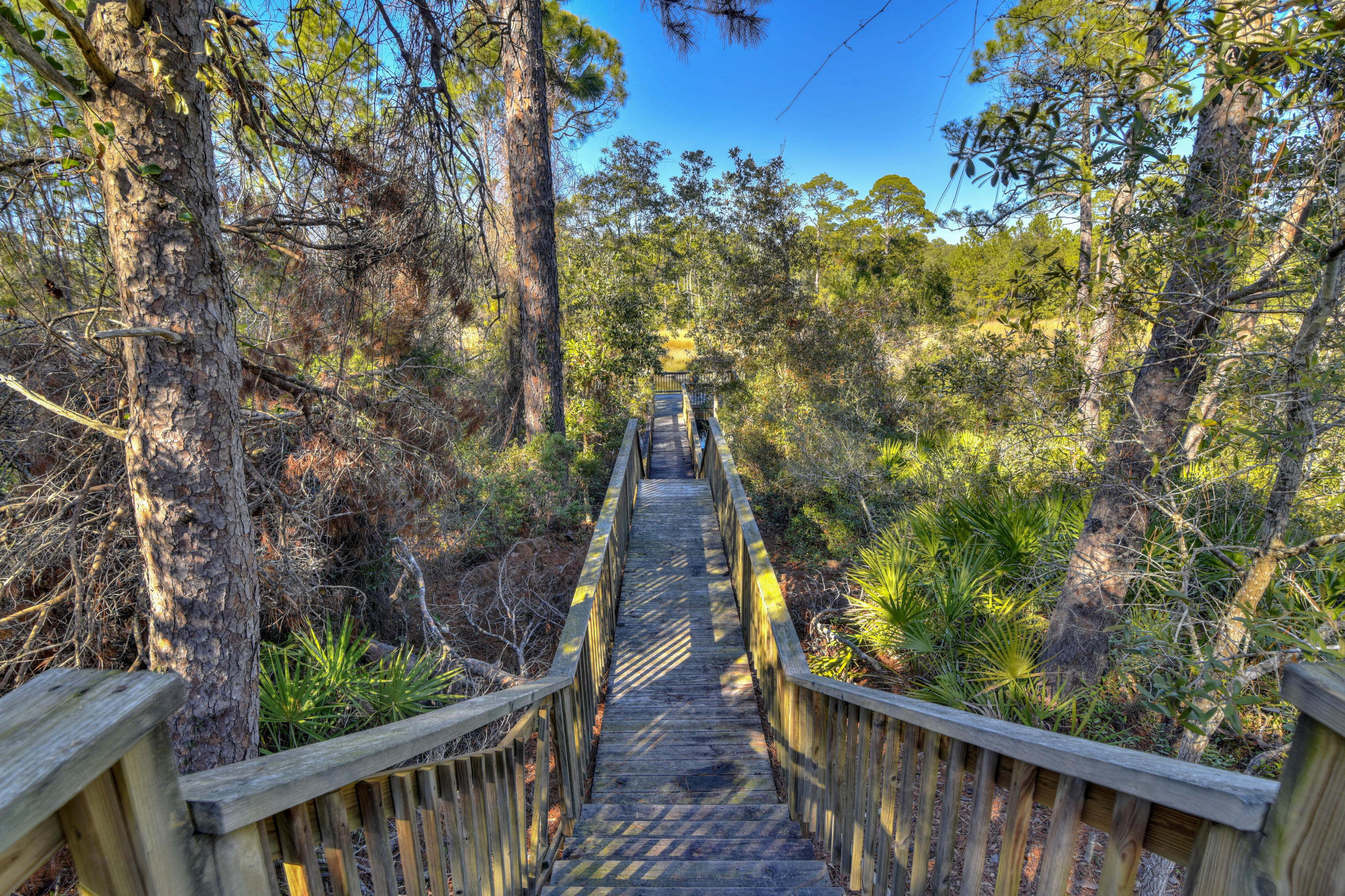 32 West Willow Mist Rd Inlet Beach Inlet Beach, FL 32461 - Photo 27 of 55 a view of a large yard with large trees