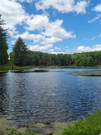 $27,900 | 275 Holl Road, Pittsfield, NY 13411