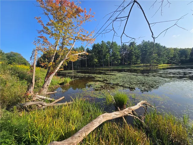 $27,900 | 275 Holl Road, Pittsfield, NY 13411