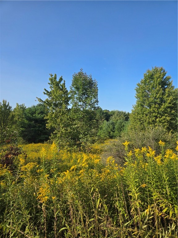 275 Holl Road Pittsfield, NY 13411 - Photo 13 of 15