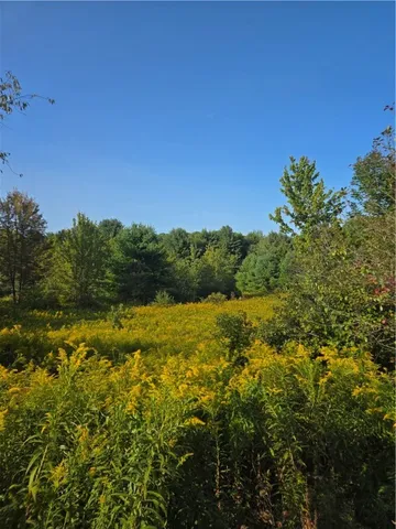 $27,900 | 275 Holl Road, Pittsfield, NY 13411