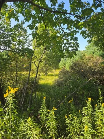 $27,900 | 275 Holl Road, Pittsfield, NY 13411