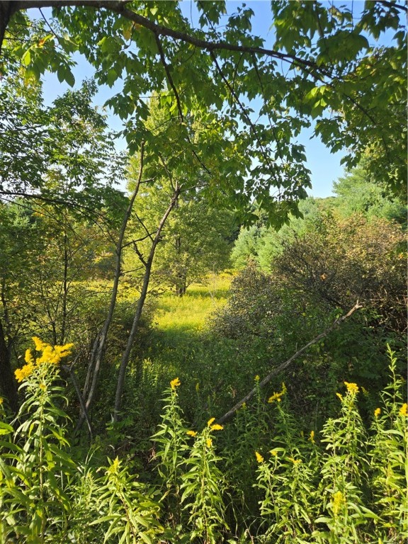 275 Holl Road Pittsfield, NY 13411 - Photo 15 of 15