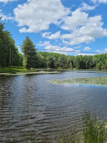 $27,900 | 275 Holl Road, Pittsfield, NY 13411